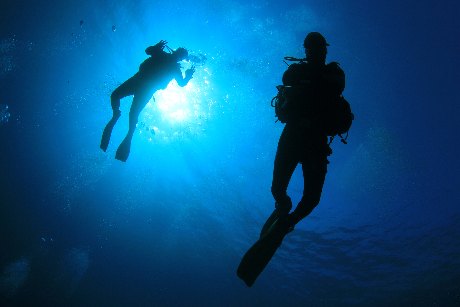 Recreational Diving Work Safe Occupational Medicine